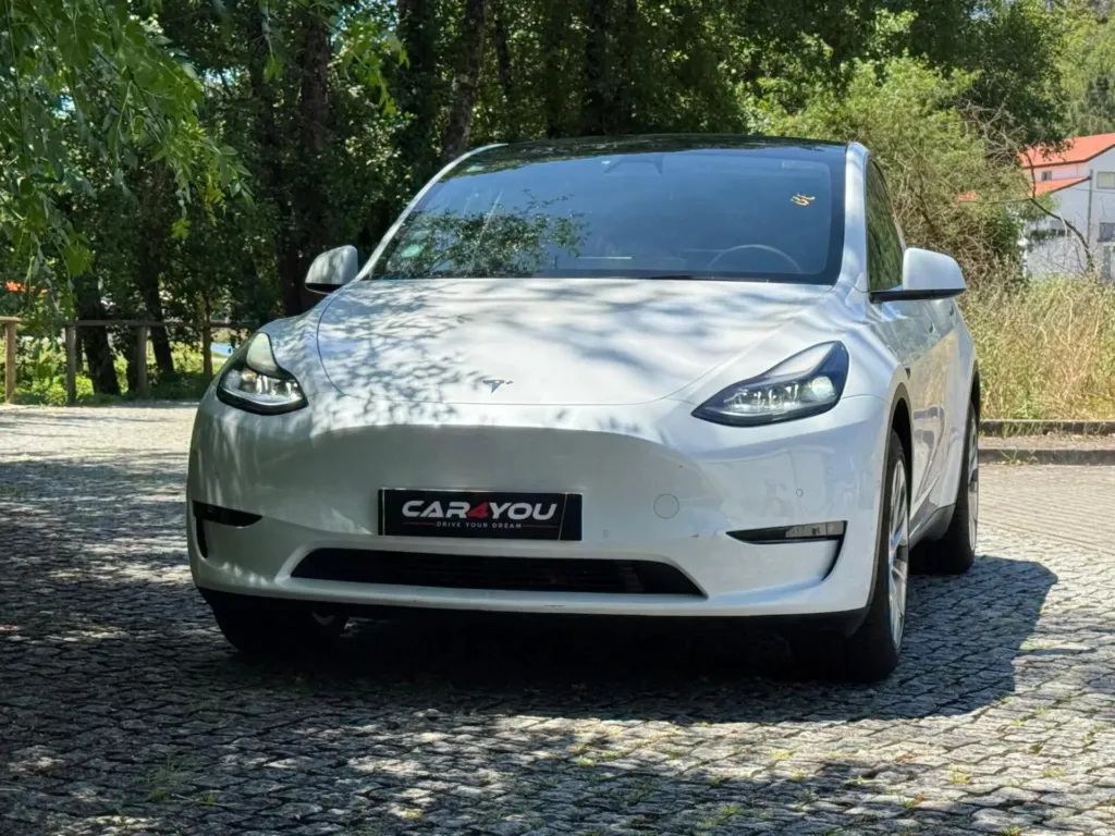 Tesla Model Y Long Range Dual Motor AWD — fotografia 12