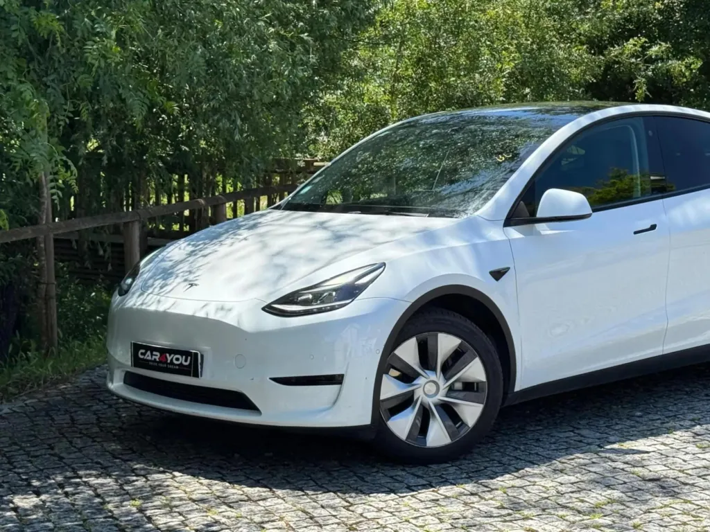 Tesla Model Y Long Range Dual Motor AWD — fotografia 2