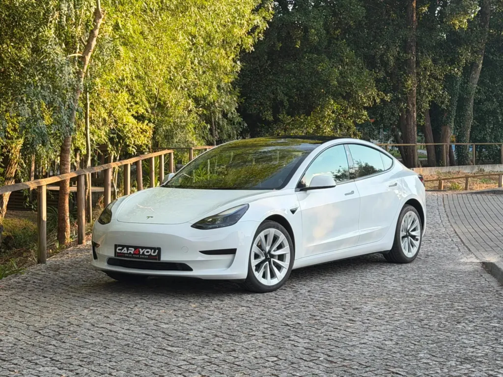 Tesla Model 3 Standard RWD — fotografia 1