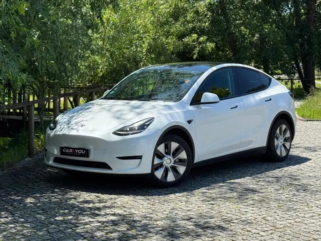 Tesla Model Y Long Range Dual Motor AWD — fotografia 1