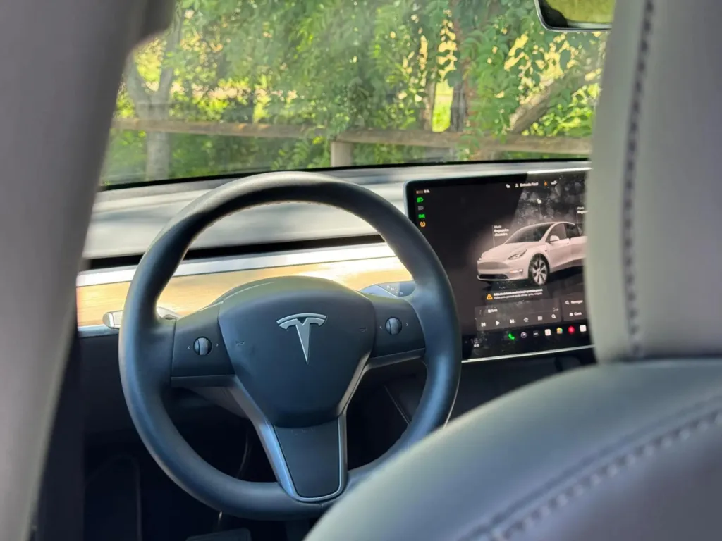 Tesla Model Y Long Range Dual Motor AWD — fotografia 19