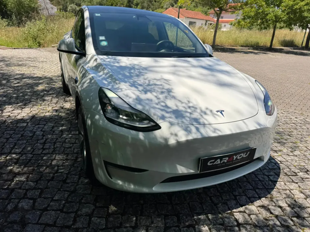 Tesla Model Y Long Range Dual Motor AWD — fotografia 11