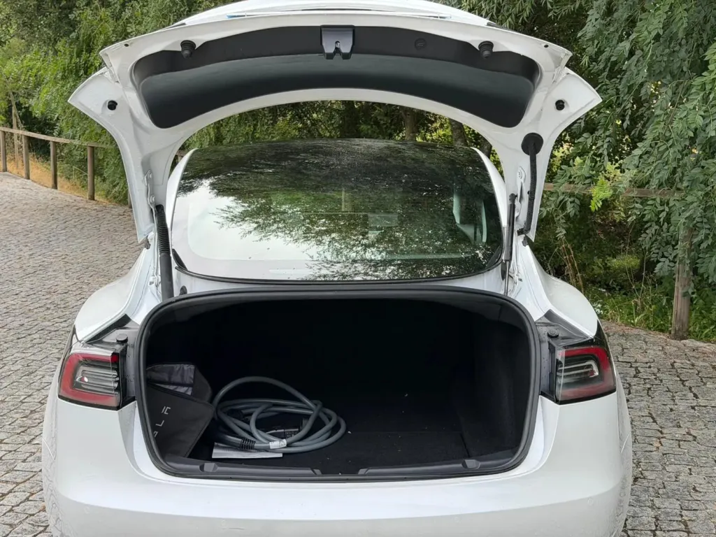 Tesla Model 3 Standard Range Plus RWD — fotografia 12