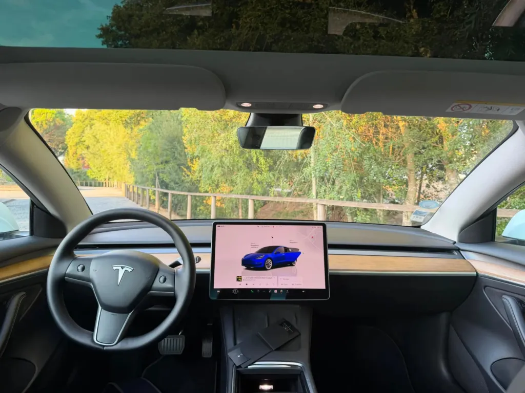 Tesla Model 3 Standard RWD — fotografia 18