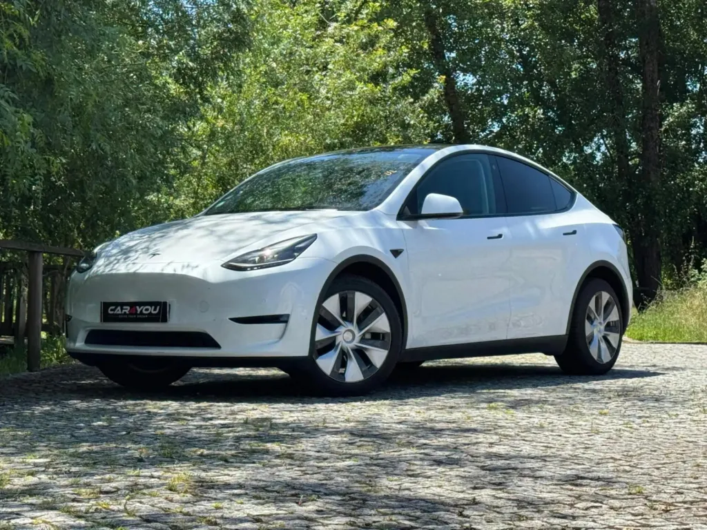 Tesla Model Y Long Range Dual Motor AWD — fotografia 10