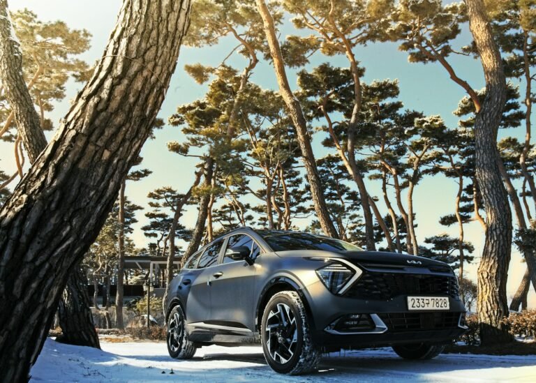Kia Sportage 1.6 CRDi Drive — foto 2
